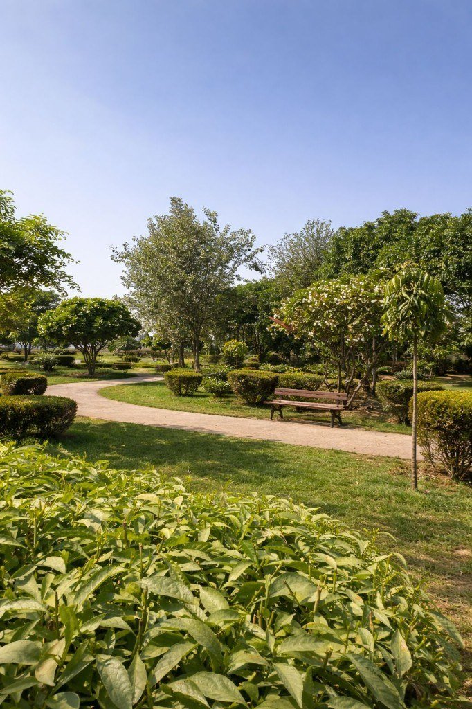 Green garden at Mega County Township